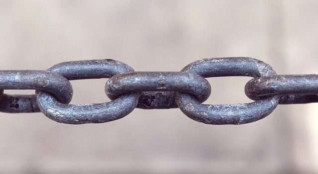 Link Building SEO link building seo